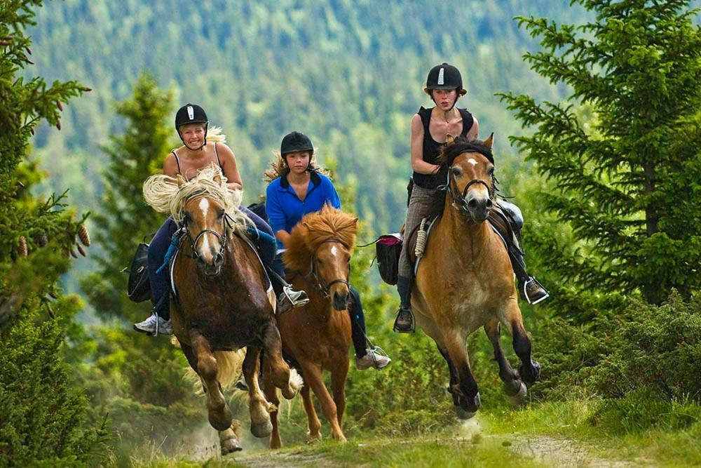 Enden Rondane River Lodge - Rondane Gjestegard מראה חיצוני תמונה