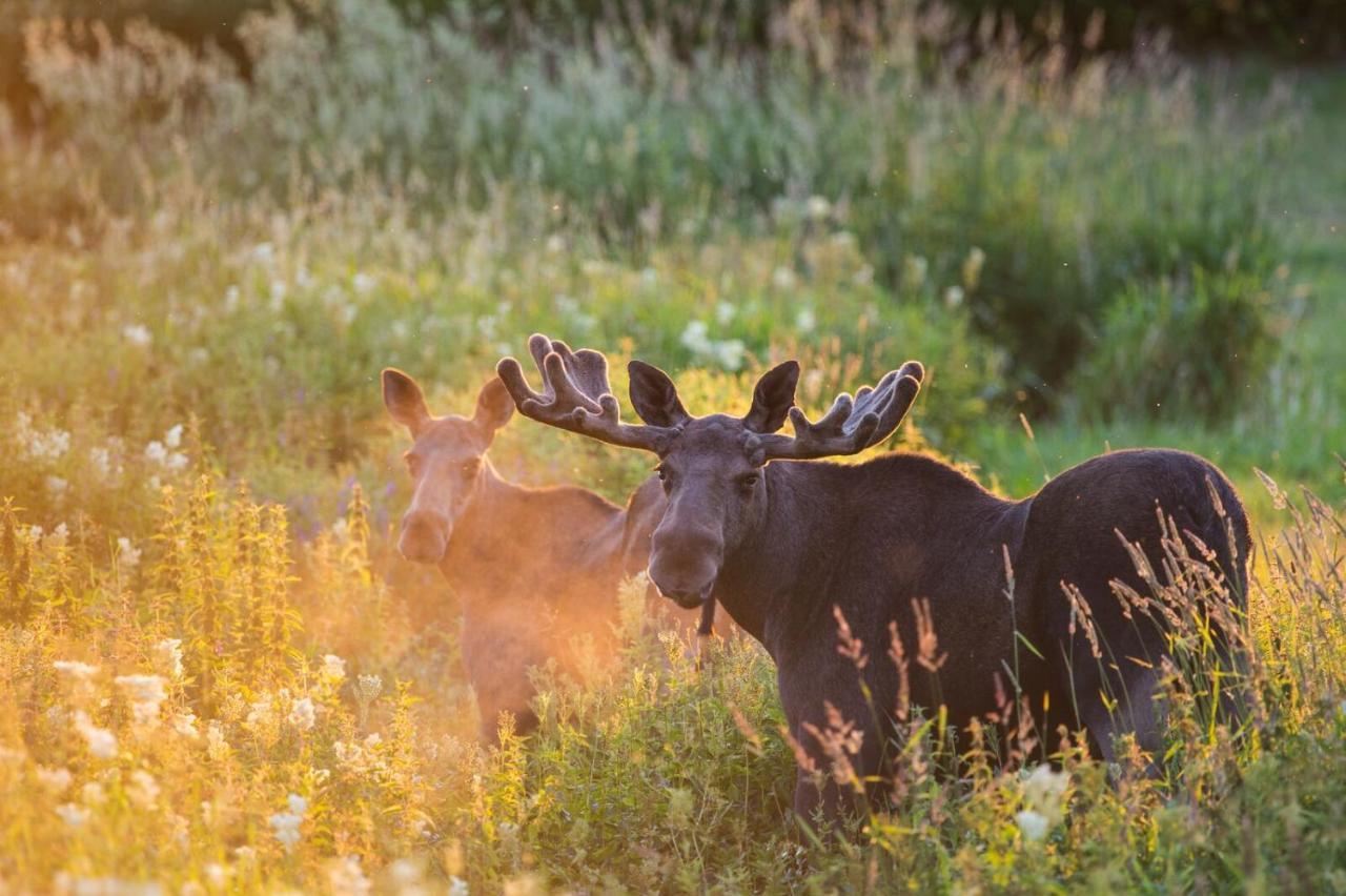 Enden Rondane River Lodge - Rondane Gjestegard מראה חיצוני תמונה